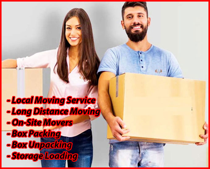 Packers And Movers Noida Sector 113